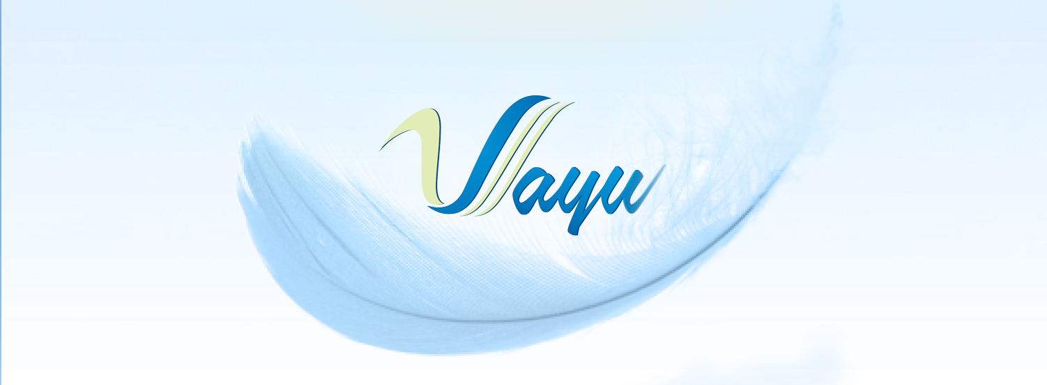 Vayu